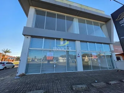 Loja em Zona Nova