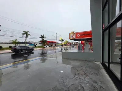 Loja Disponível para Aluguel Anual na Av. Paraguassú em Capão Novo — foto 5